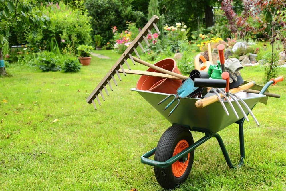 Rasensaison 2022 beginnt Herbst